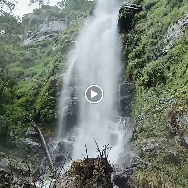 Videos