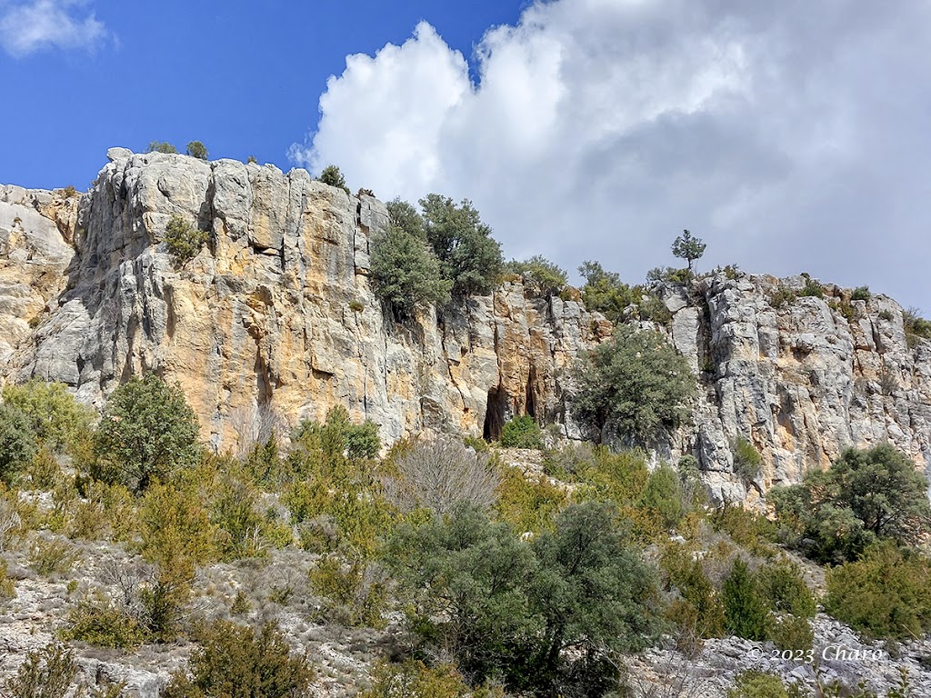 PR-CU 38, sendero de los arroyos
