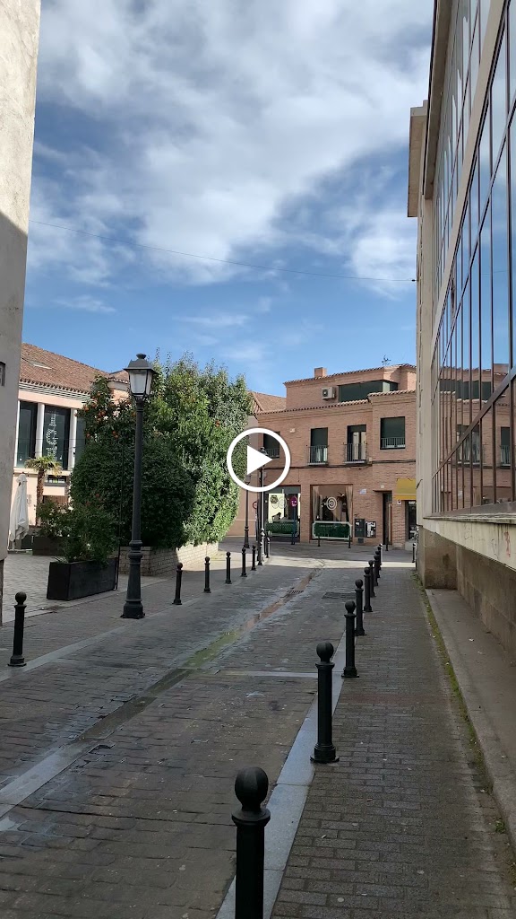 Gardden La terraza del Casino — Videos