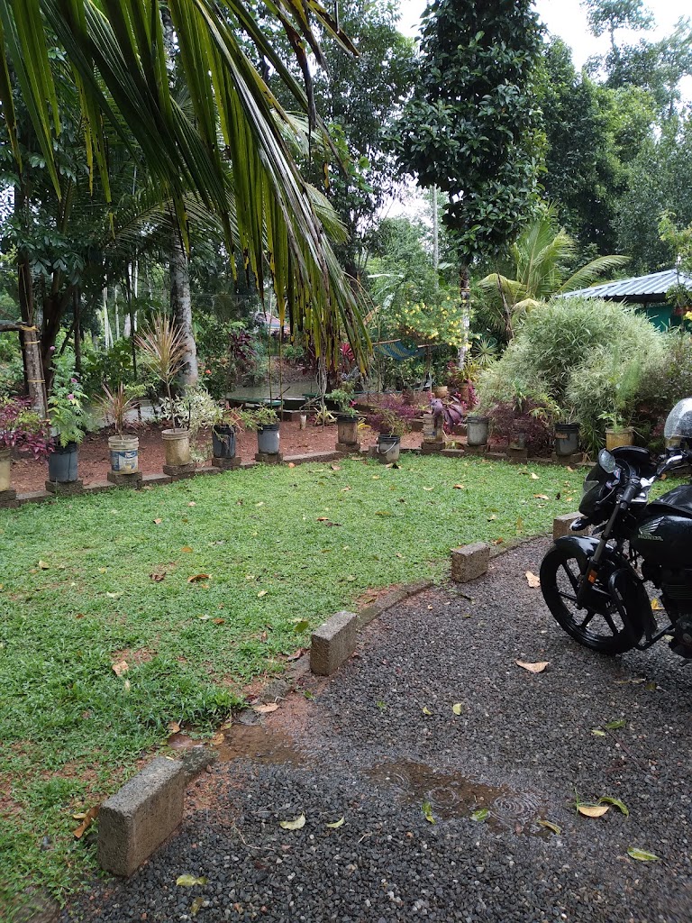Kuttickattil Gardens Home Stay