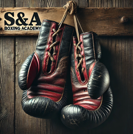  S&A Boxing Academy