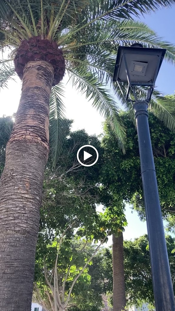 El Serranito — Videos
