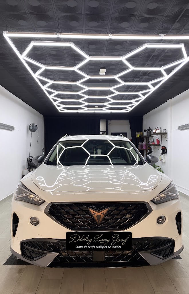 LAVADO DE COCHES ECOLOGICO A MANO / DETAILING LUXURY GARRAF