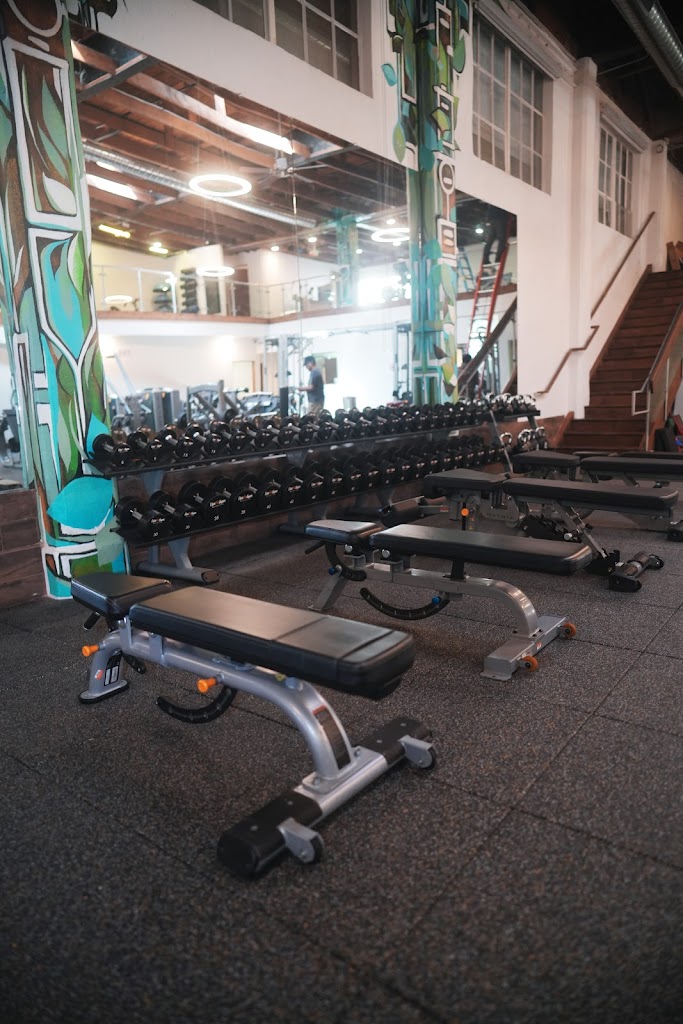  Live Fit Gym - Mission