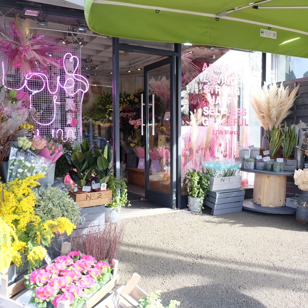 Urban Design Flowers