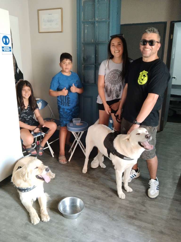 Perro