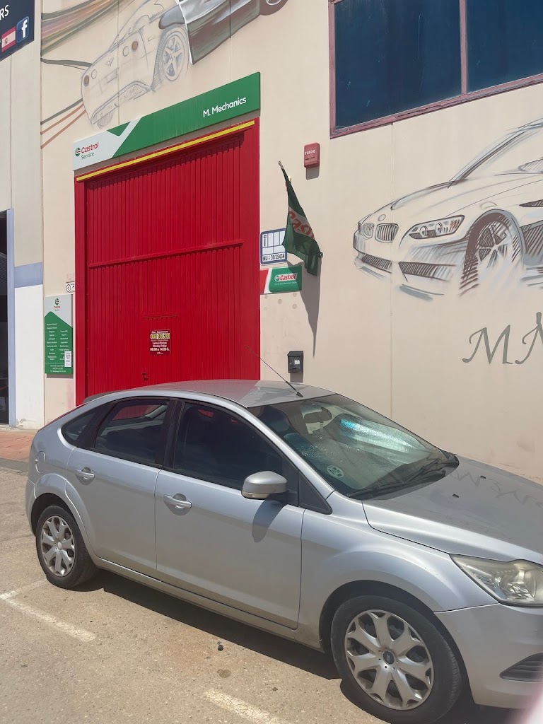 Castrol Service M Mechanics. — Del propietario