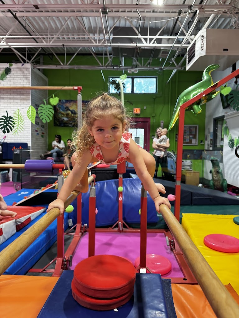  Gemini Gymnastics Academy