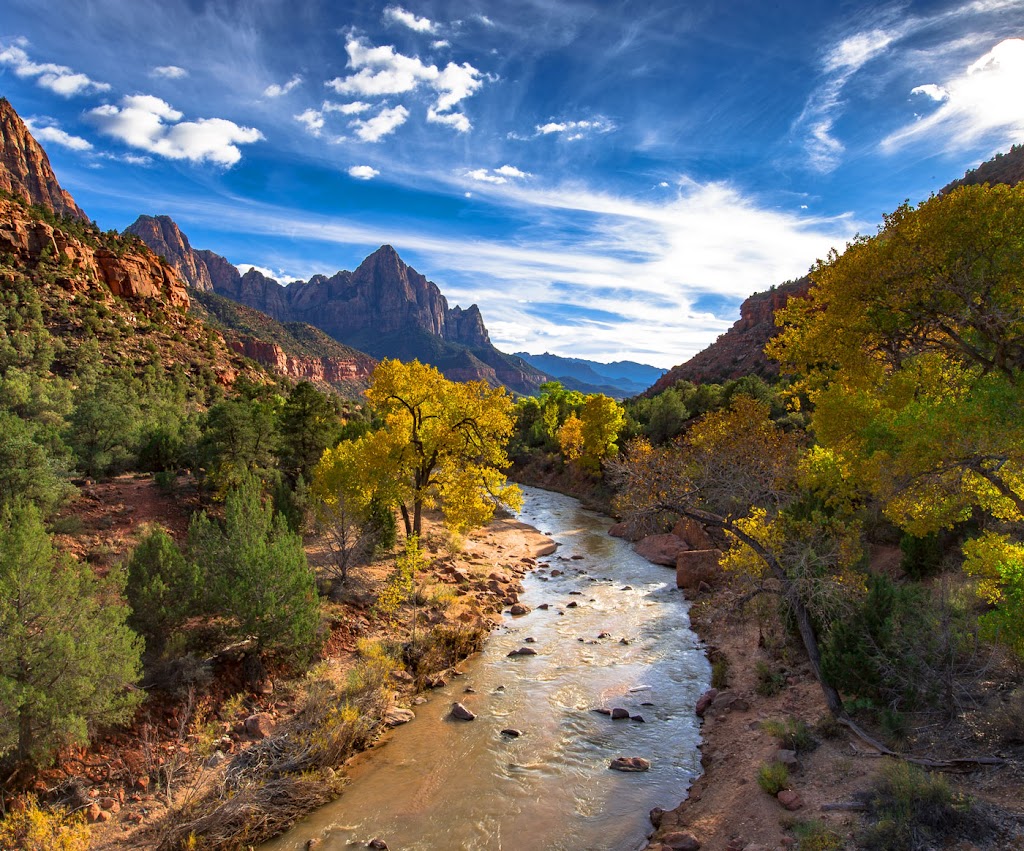 Zen Zion