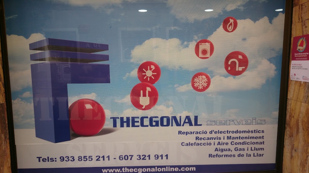 Thecgonal Serveis — Del propietario