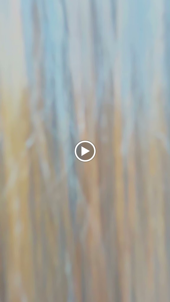 Show Stopper Unisex Salon