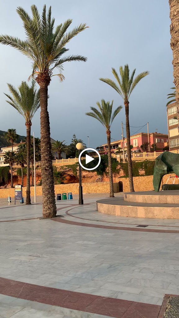 Paseo de Las Estrellas — Videos