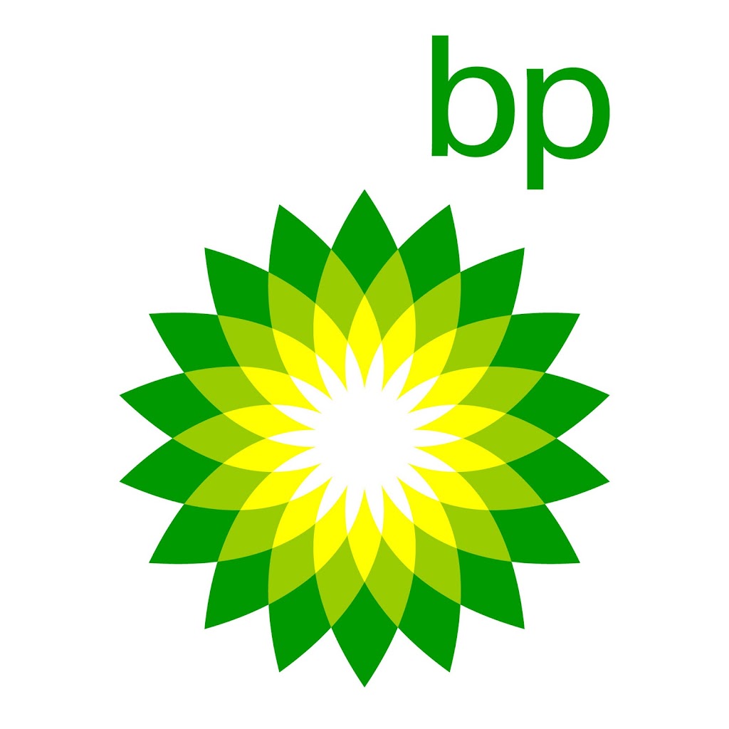 BP TAMARACEITE — Del propietario
