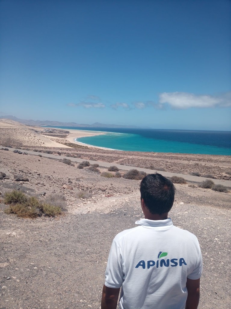 Apinsa Fuerteventura