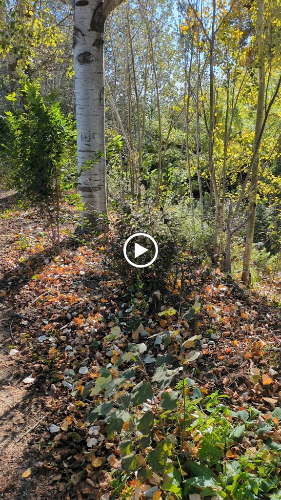 Parc Fluvial del Riu Ripoll - Barbera del Valles — Videos
