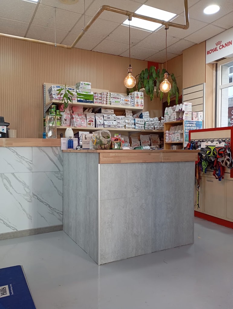 Clinica Veterinaria Bosco — Del propietario