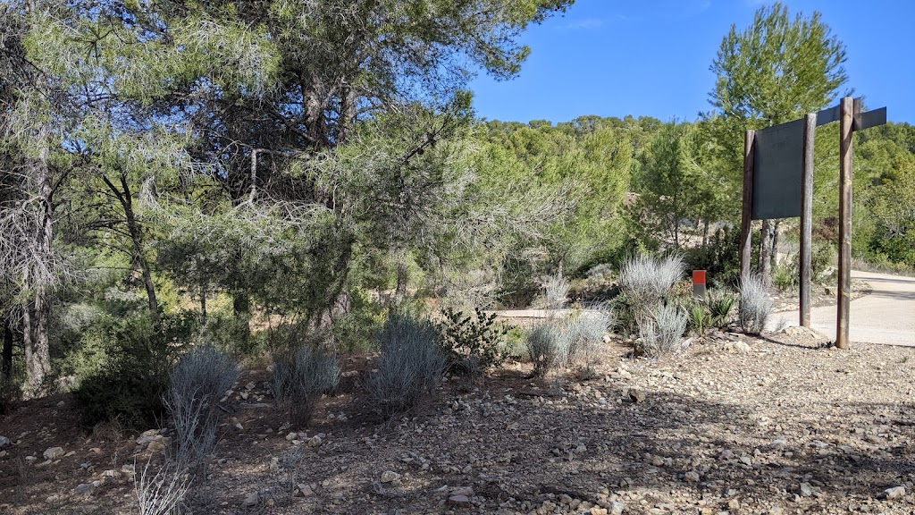 Coll de Sentig