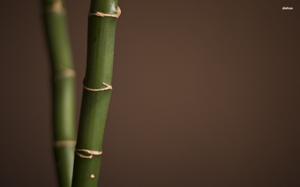  Covington Karate Studio