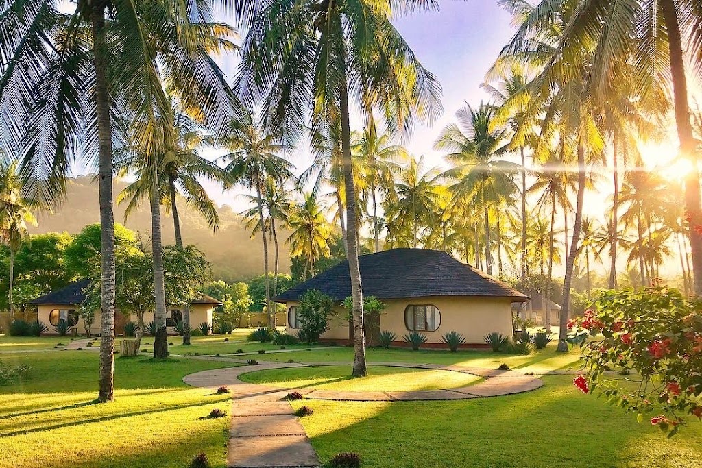 Whales & Waves. Beach Resort