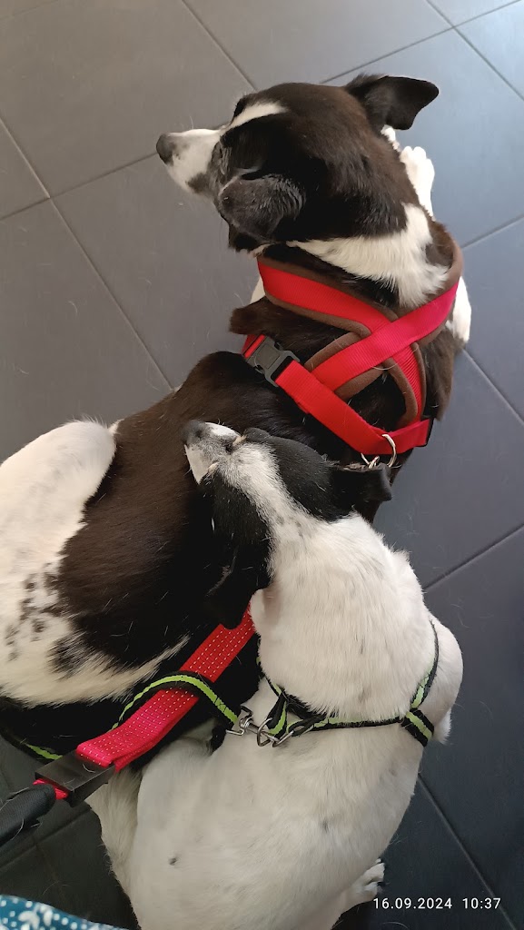Foto da avaliação