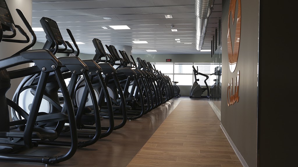 Gimnasio VivaGym Millenium