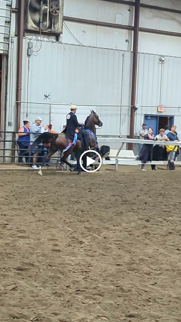 Saddle