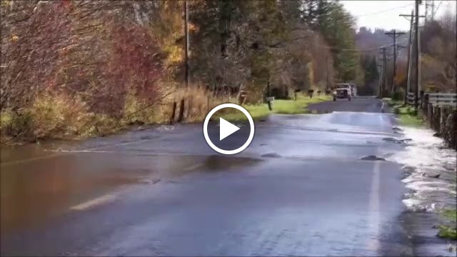 Pedro Cano — Videos