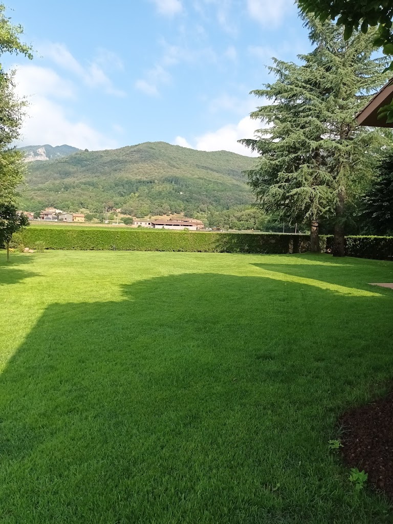 Rebrot Jardineria Olot