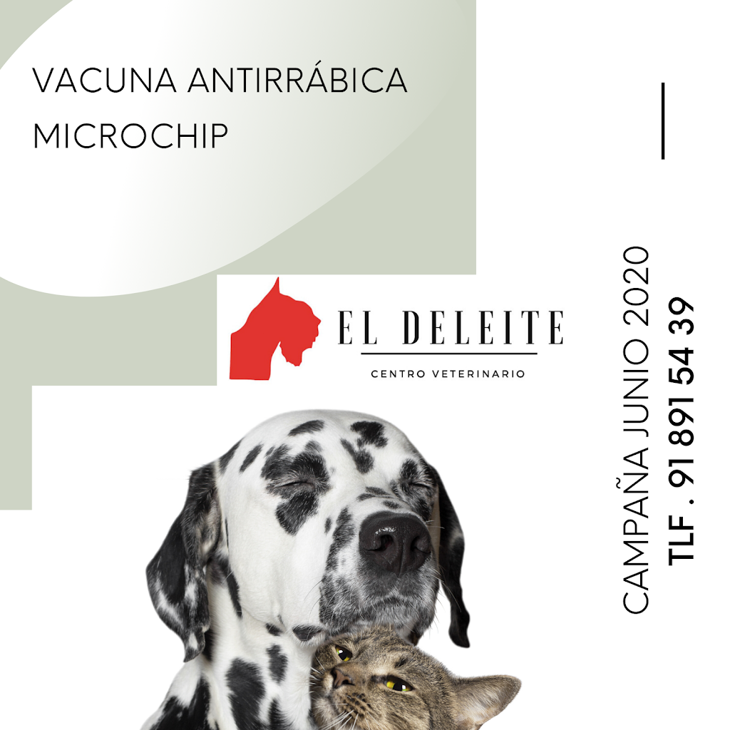 Veterinario El Deleite Aranjuez — Del propietario