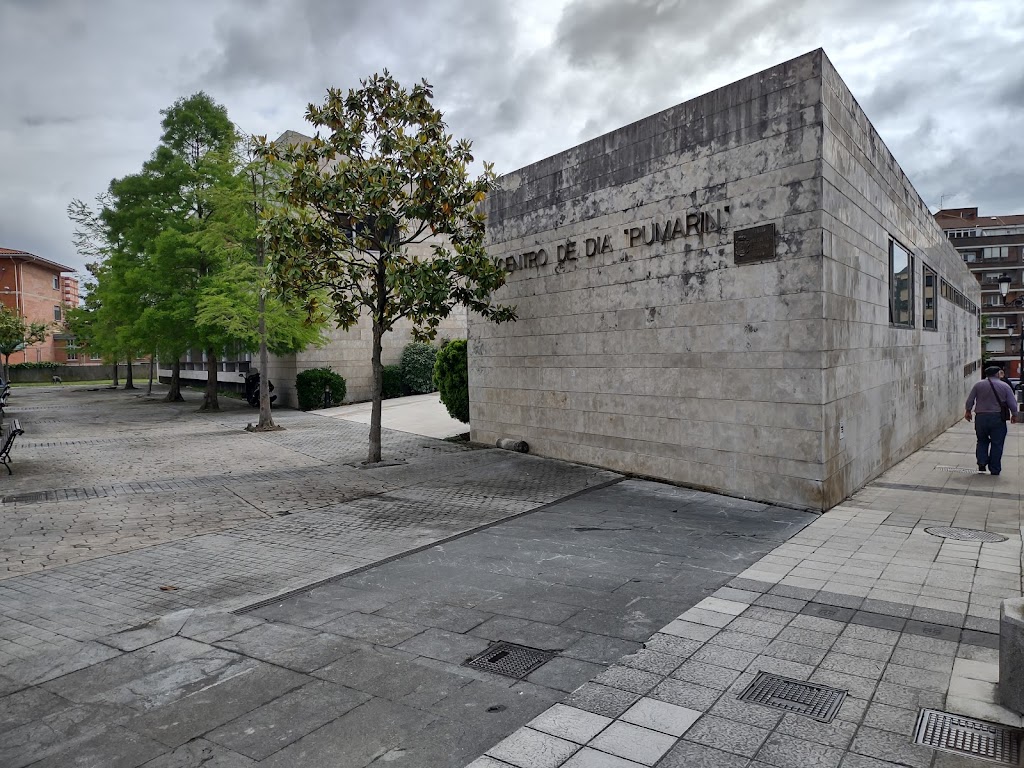 Centro de Dia de Personas Mayores en Situacion de Dependencia de Pumarin