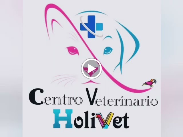 Rehabilitacion Veterinaria Tenerife — Videos