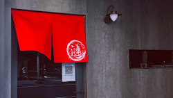 6555cbf418769dd3c0b633c8 的照片