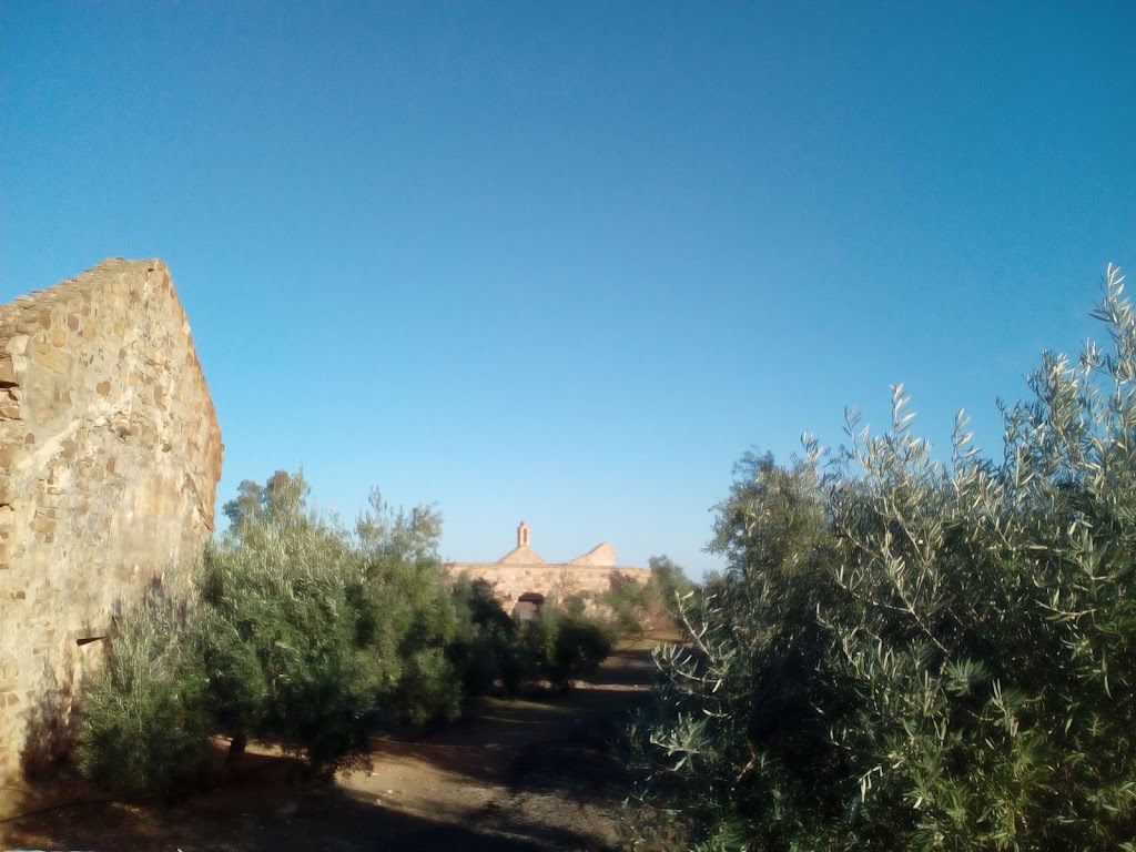Hogar de ancianos La Granja — De los visitantes