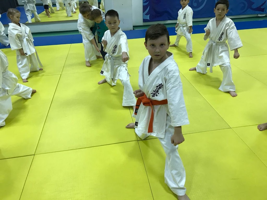  KYOKUSHINKAI KARATE VIRGINIA