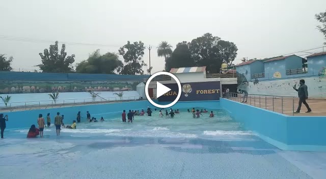 Videos