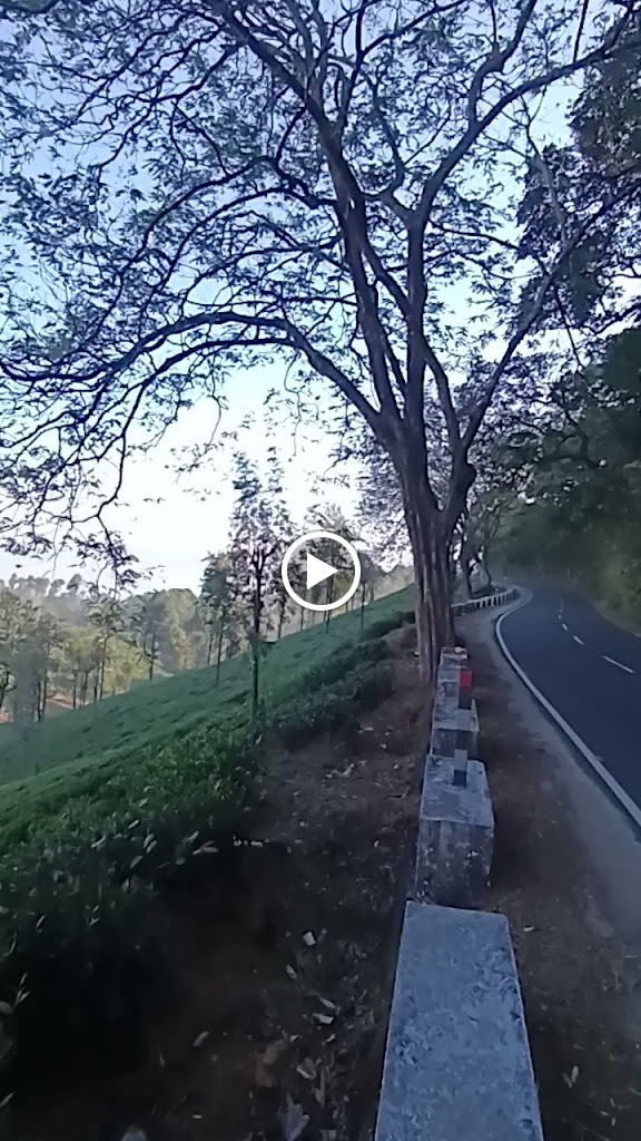 Videos
