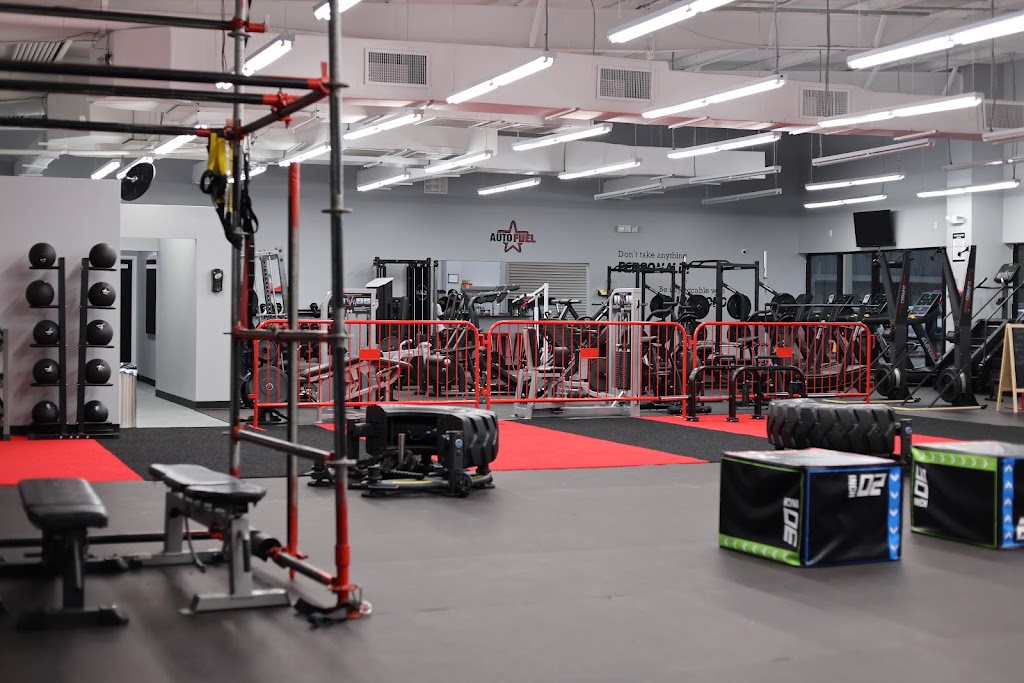  AUTOMATIC FITNESS LLC