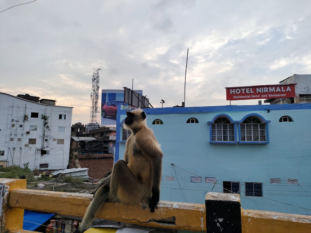 Roop Vihar