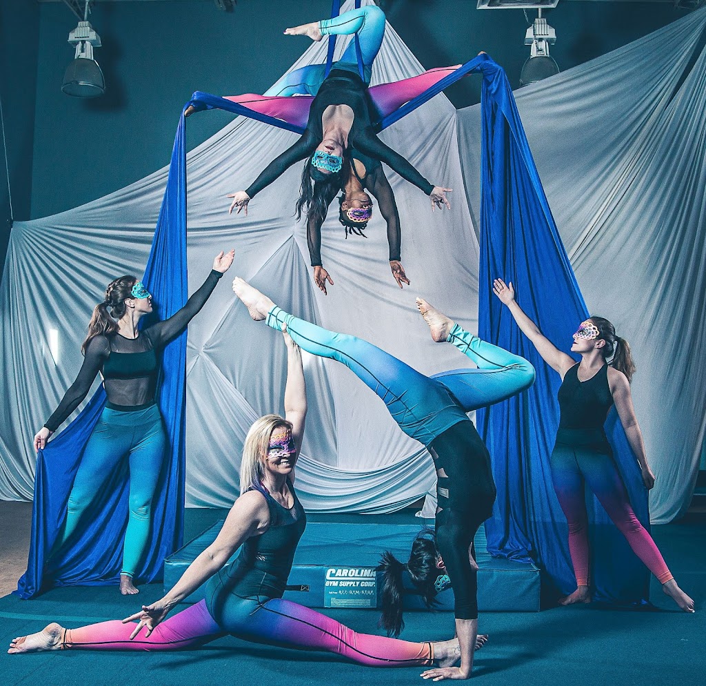  Upside Aerial Arts & Fitness