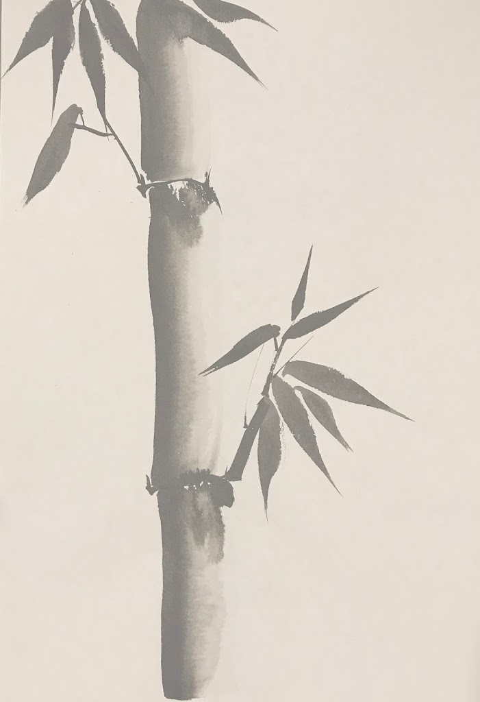 Zhi Acupuntec - Acupuntura Esparreguera