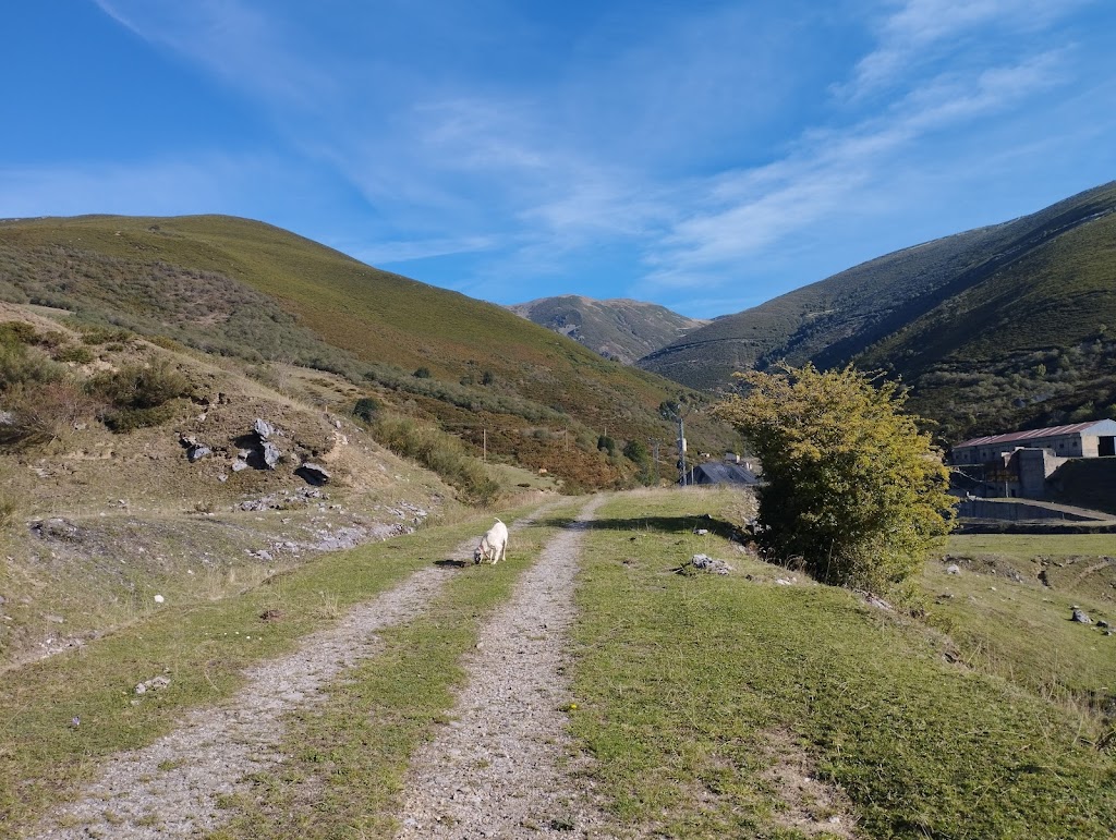 Pico Cellon (2029 m.)