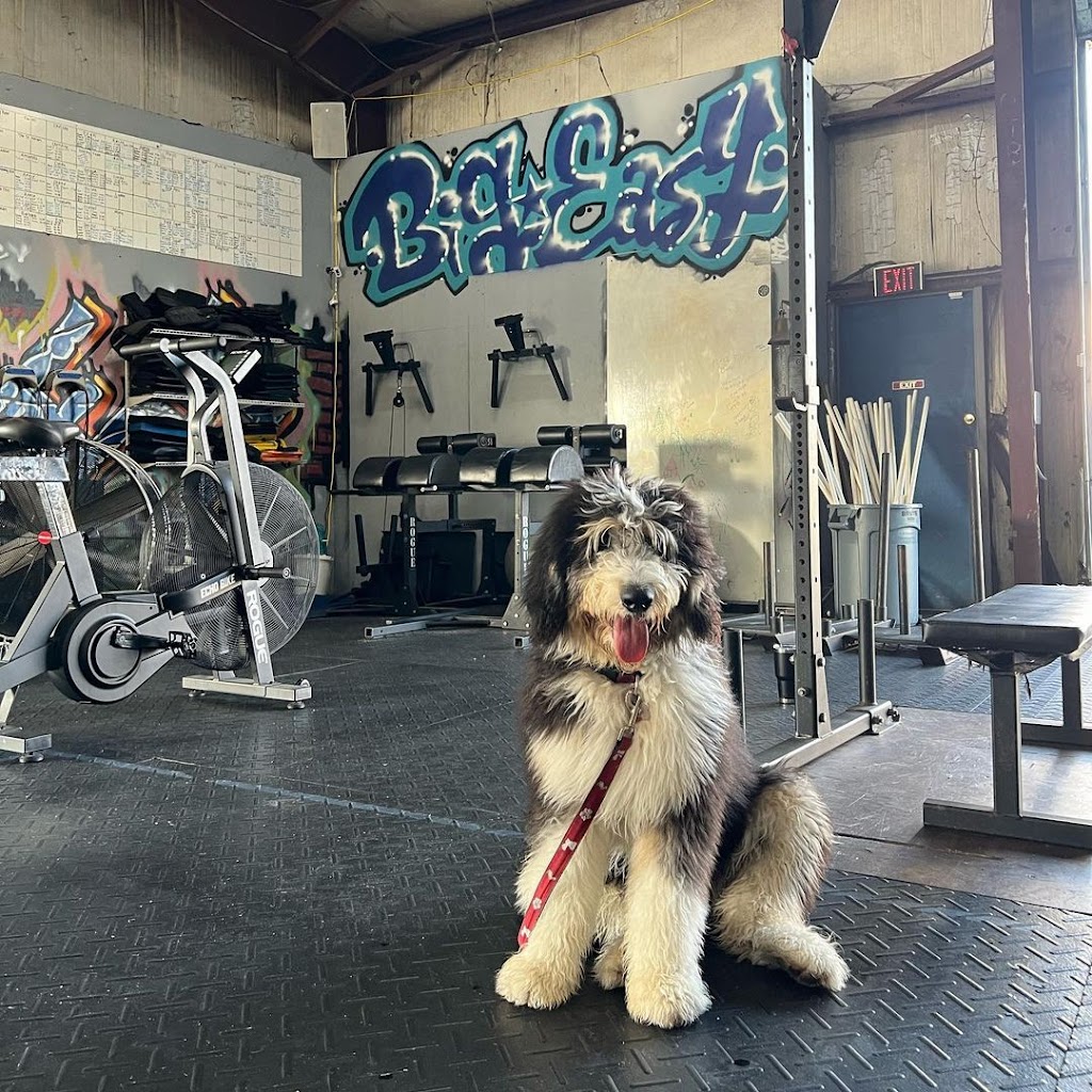  Big Easy Fitness & CrossFit