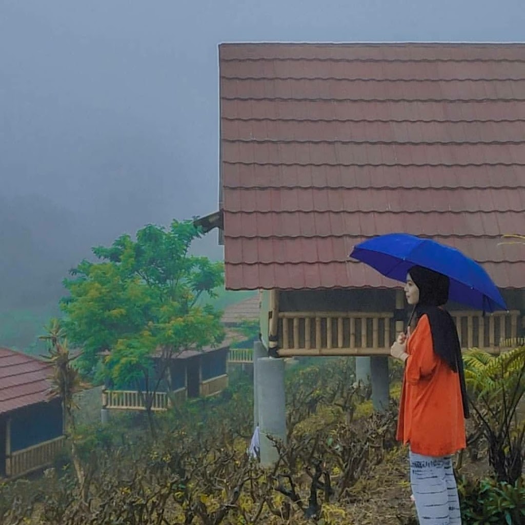 Camping Gayatri Mountain adventure