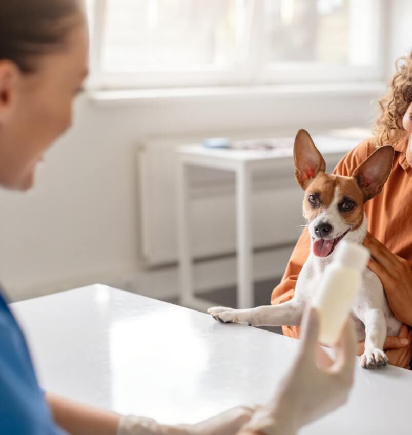 Clinica Veterinaria Mediterraneo — Del propietario