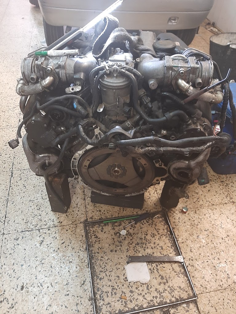 Son Oliva Auto