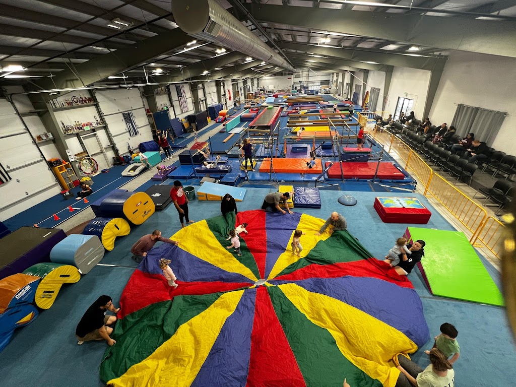  Precizion 509 Gymnastics