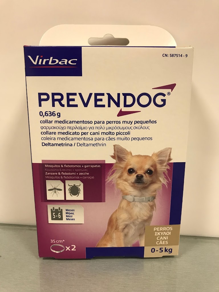 Clinica Veterinaria Tecsages — Perro