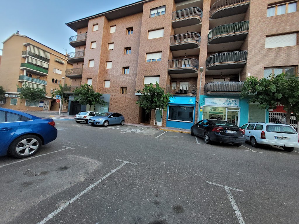 Lavanderia Flor de Lavanda