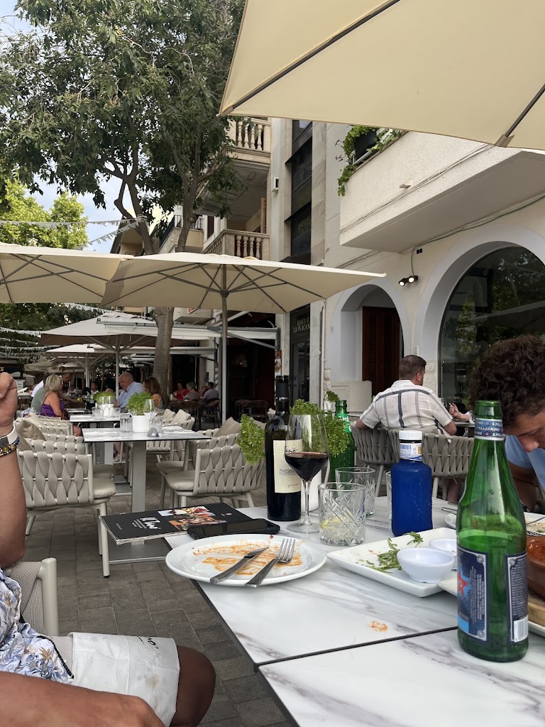 Il Tano Port de Pollenca — Ambiente