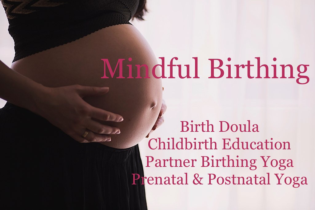  Dragonfly Yoga & Ayurveda